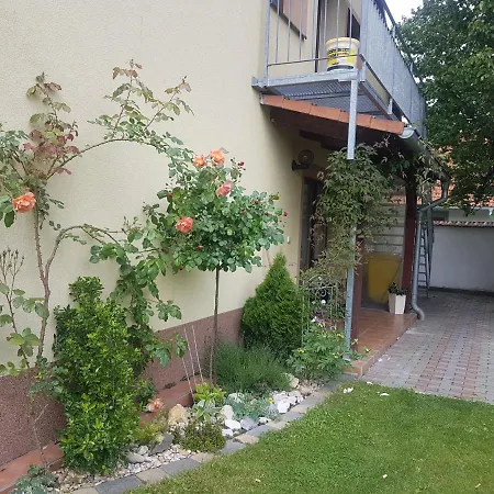 Ubytovani U Spacku Palava Novosedly  Exterior photo