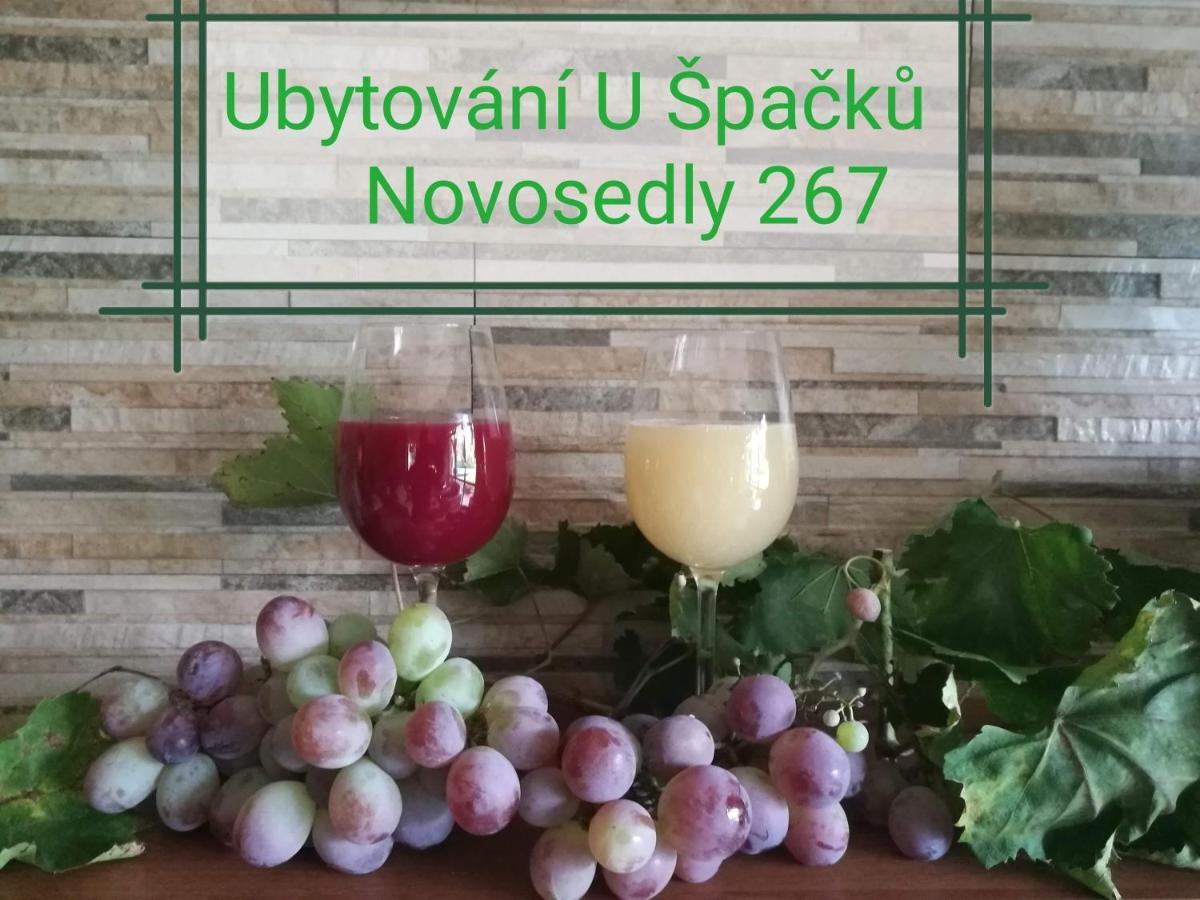 U Spacku Palava Apartment Novosedly (Breclav)