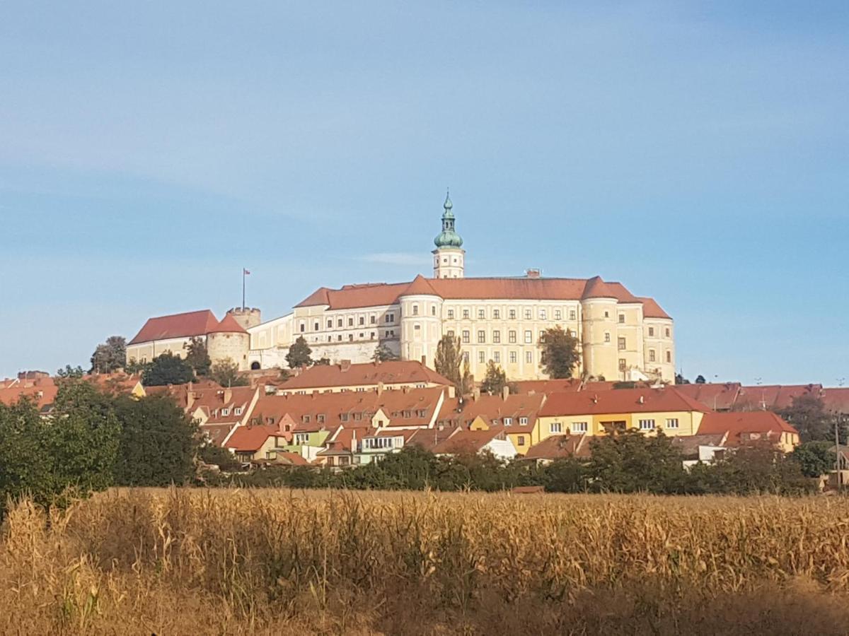 Apartment U Spacku Palava Novosedly (Breclav)