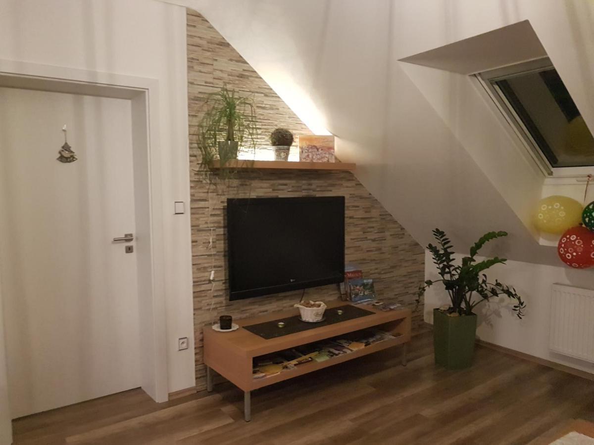 U Spacku Palava Apartment Novosedly (Breclav)