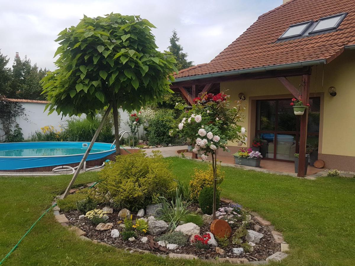U Spacku Palava Apartment *