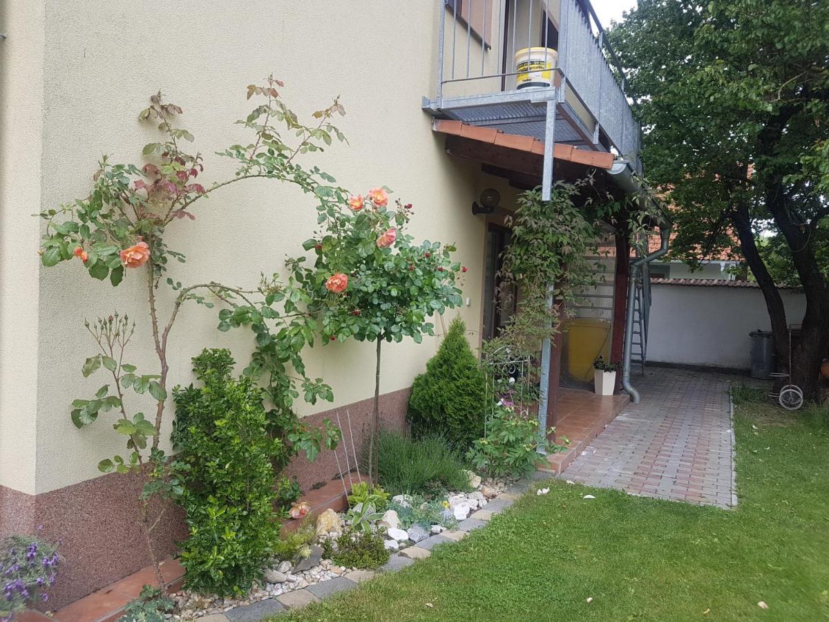 U Spacku Palava Apartment *