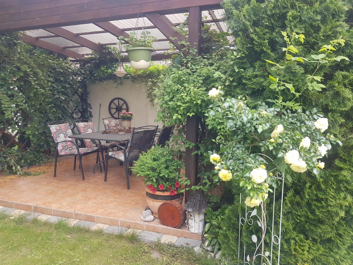 U Spacku Palava * Novosedly (Breclav)