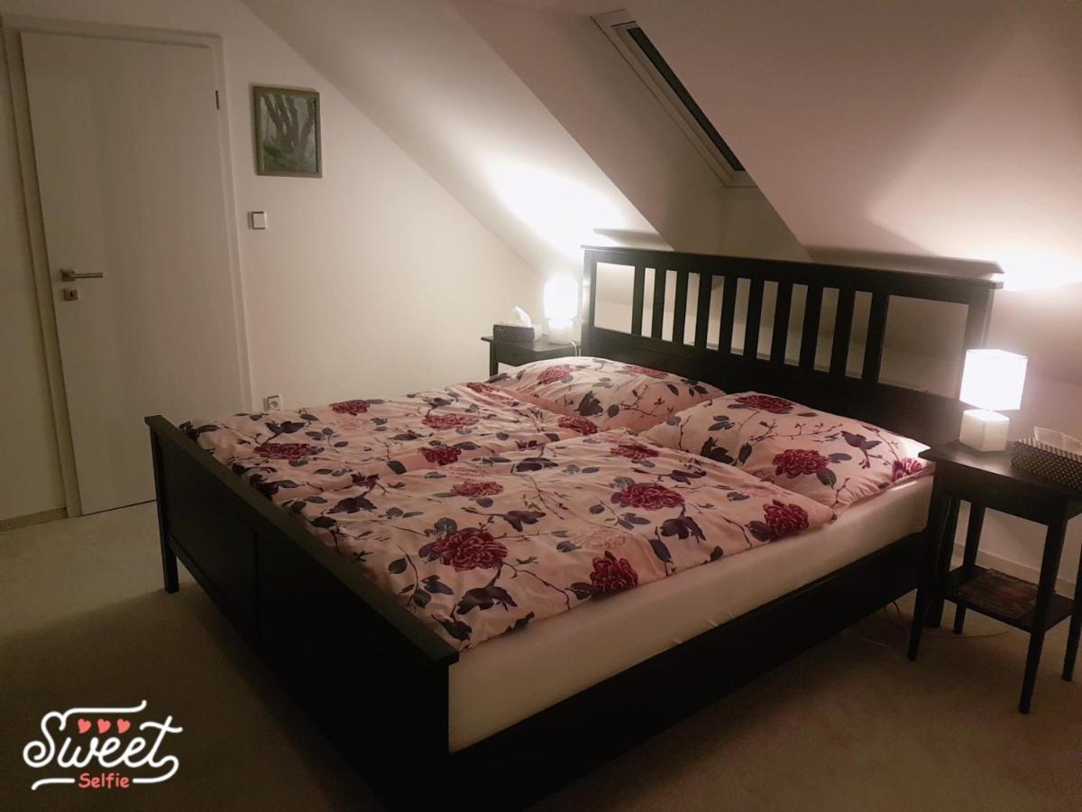 Apartment U Spacku Palava