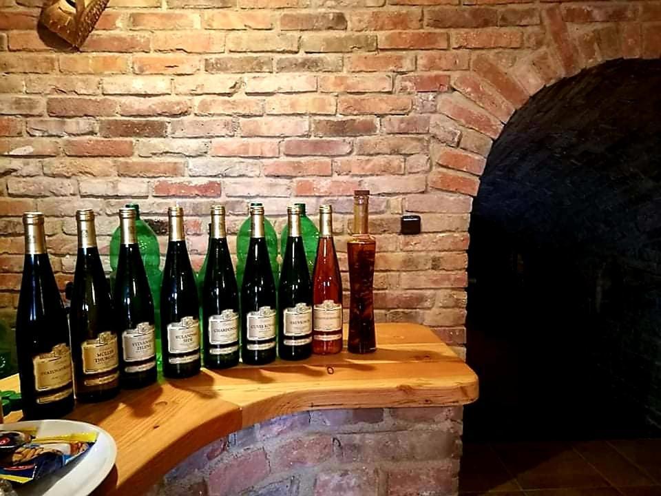 U špačků Pálava