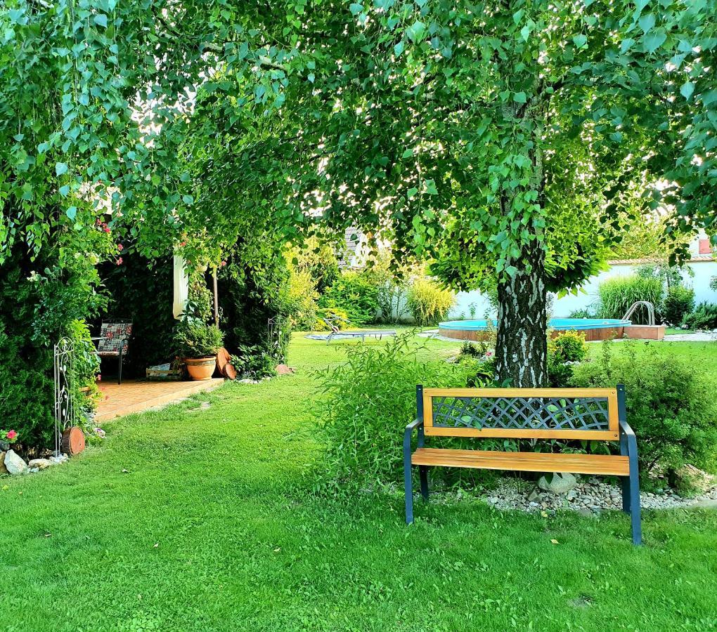 Apartment U Spacku Palava Novosedly (Breclav)