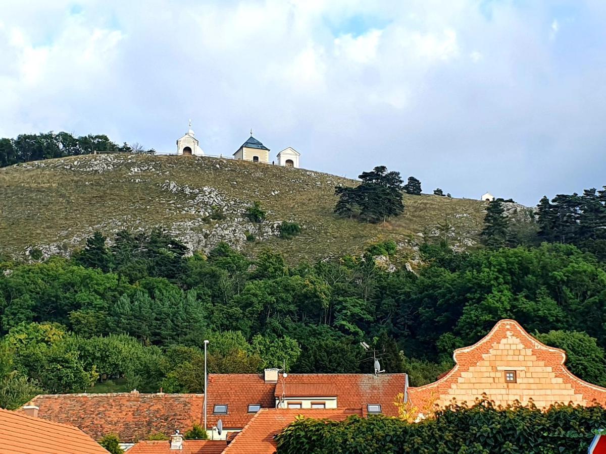 Apartmán U špačků Pálava Novosedly (Breclav)