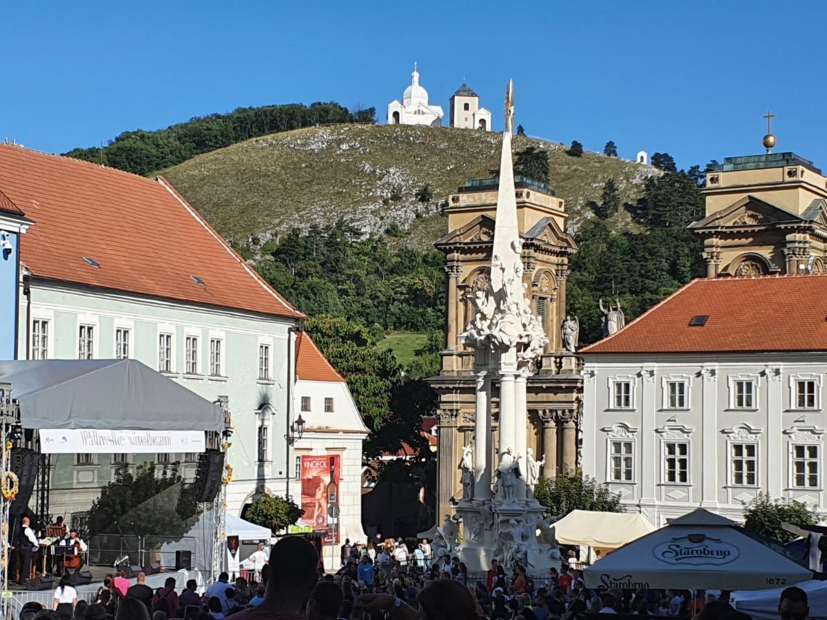 U špačků Pálava Apartmán Novosedly (Breclav)