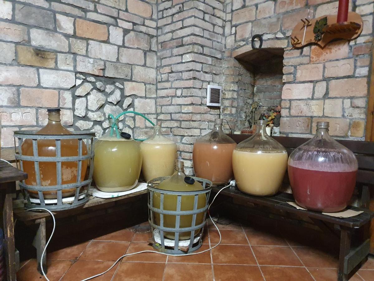 U Spacku Palava Apartment Novosedly (Breclav)