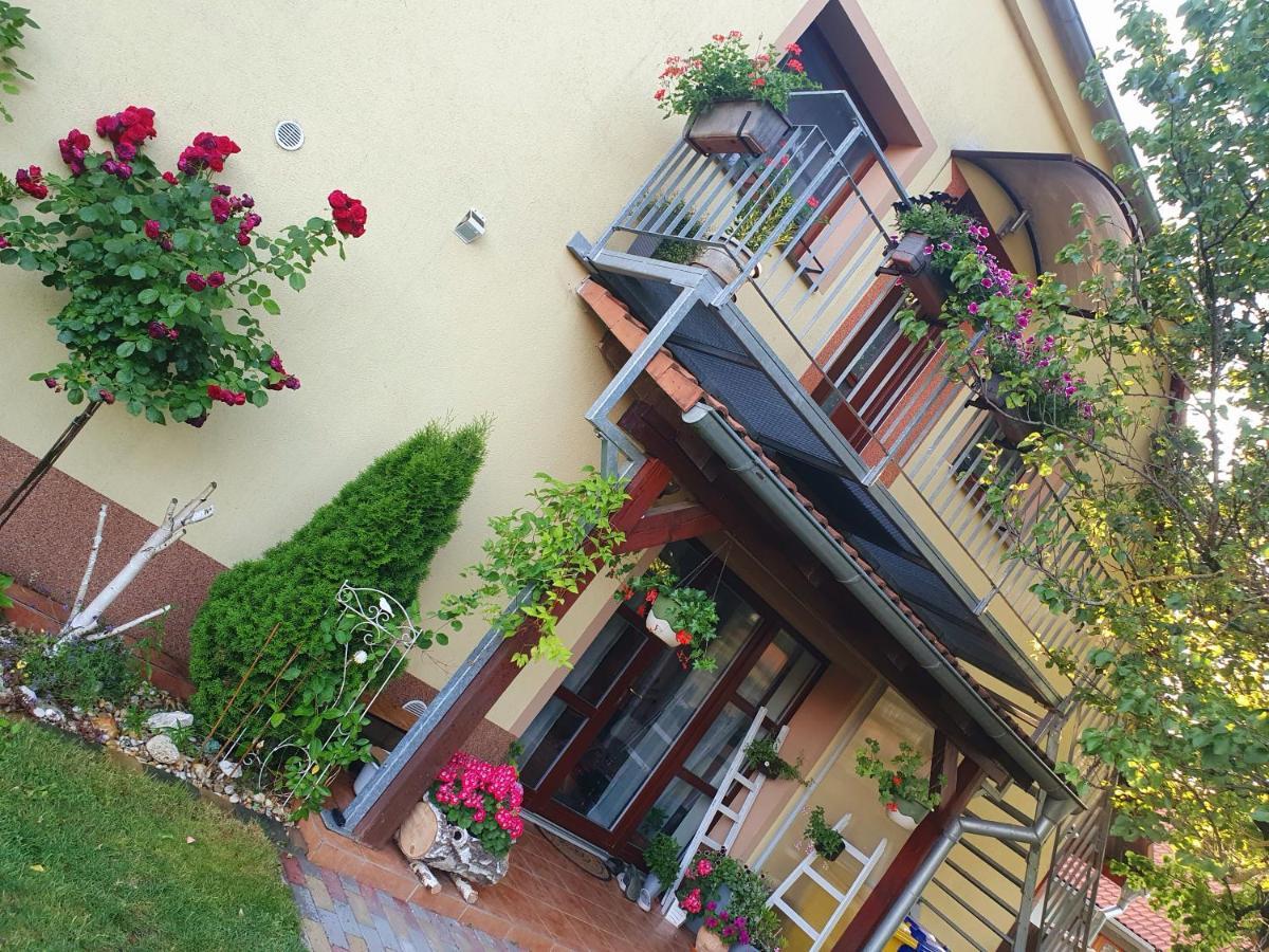 Apartment U Spacku Palava Novosedly (Breclav)